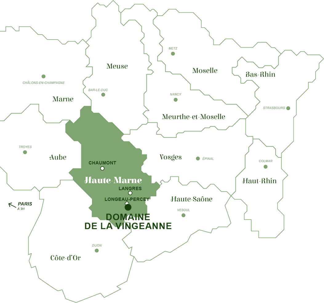 carte vingeanne courte